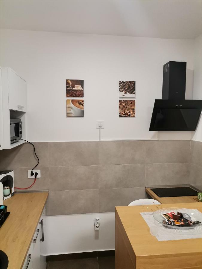 Pupin Palata Business B15 Apartment *